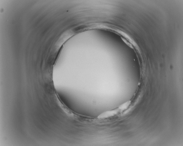 X0000070250905200606232005