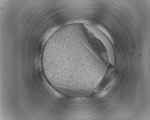 X0000070250906200606232005