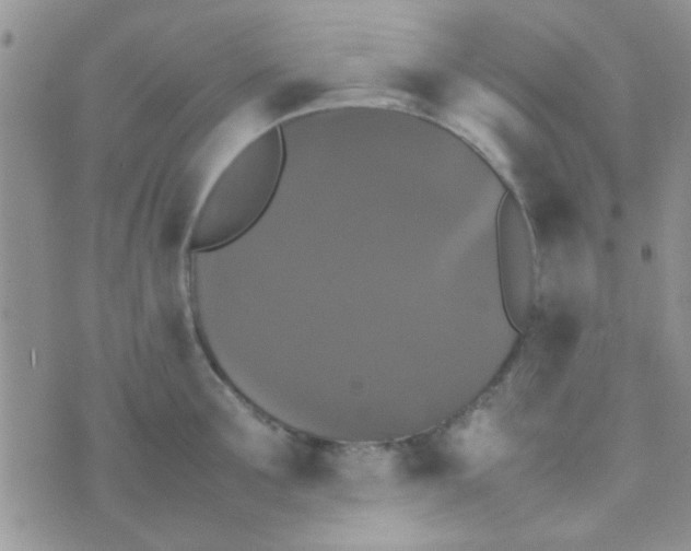 X0000070250907200606232005