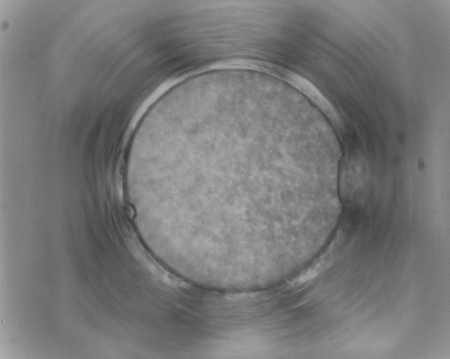 X0000070250908200606232005