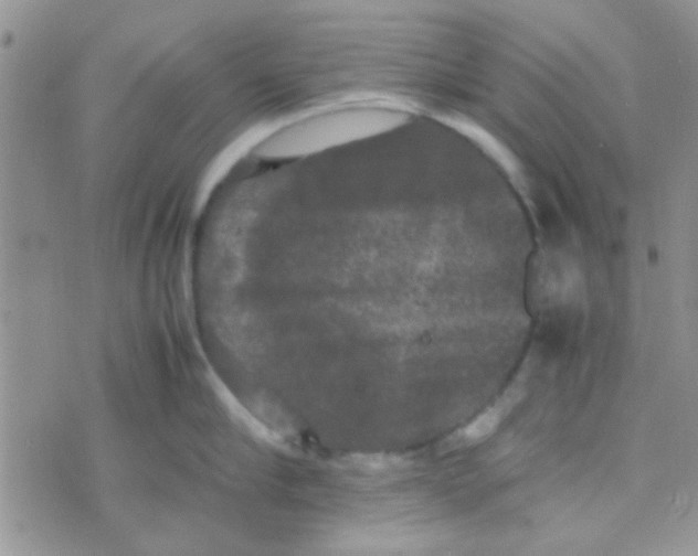 X0000070250910200606232004