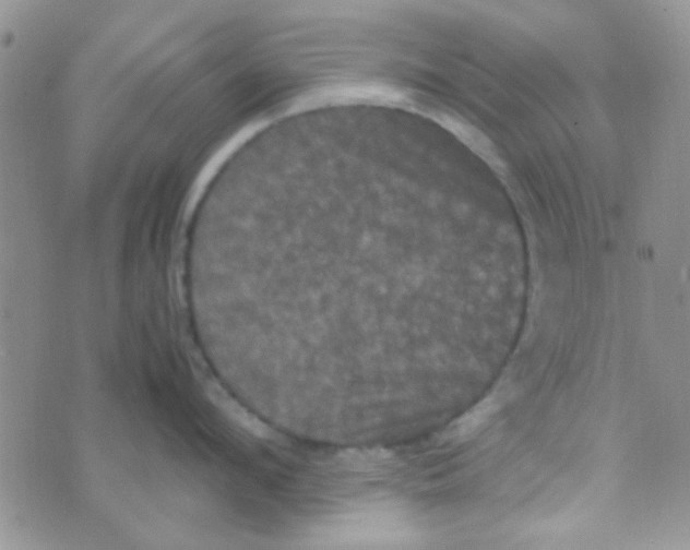 X0000070250912200606232004