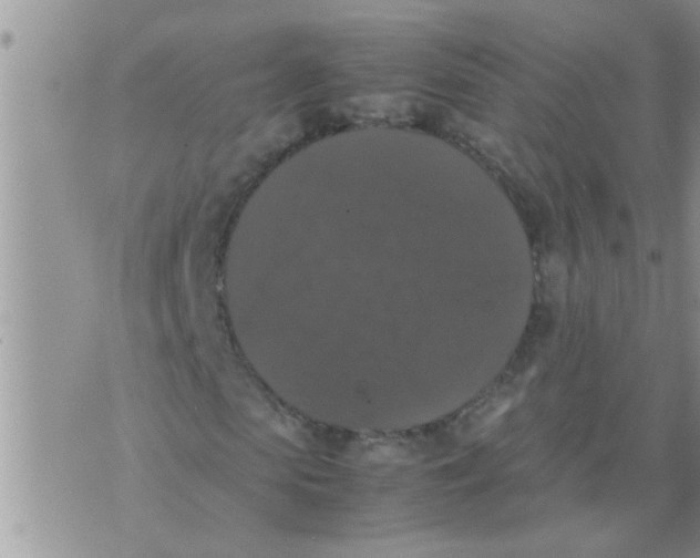 X0000070250913200606232004