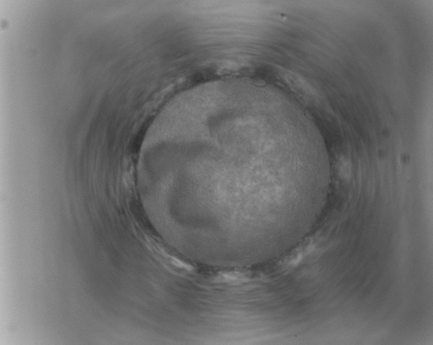 X0000070250914200606232004