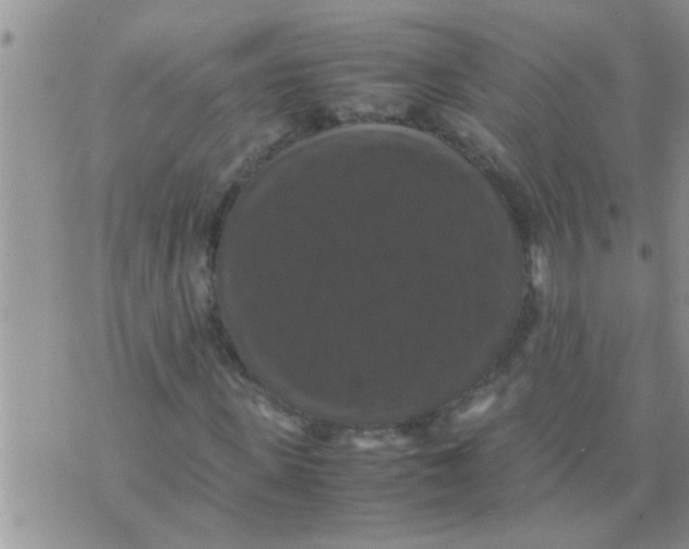 X0000070250915200606232004