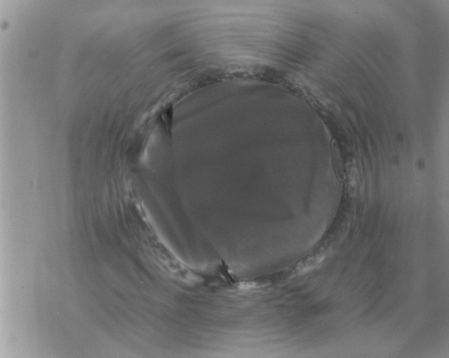 X0000070250916200606232004