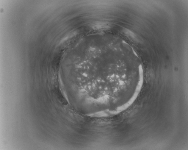 X0000070250917200606232004