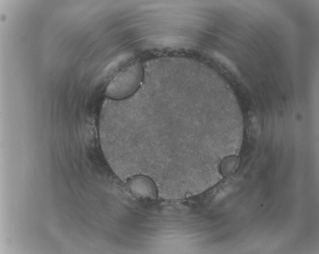 X0000070250918200606232004