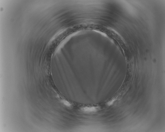 X0000070250919200606232004