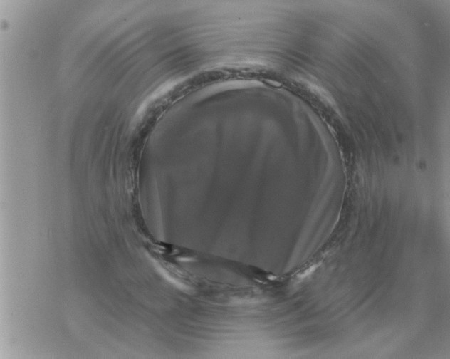 X0000070250920200606232004