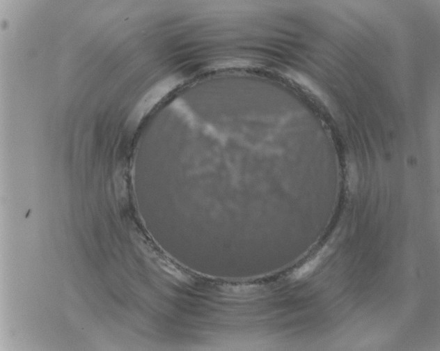 X0000070250921200606232004