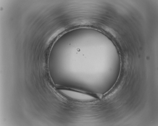 X0000070250922200606232004