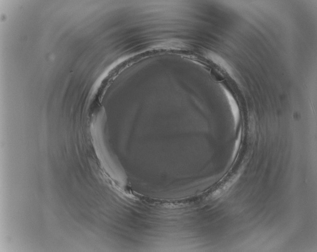 X0000070250923200606232004