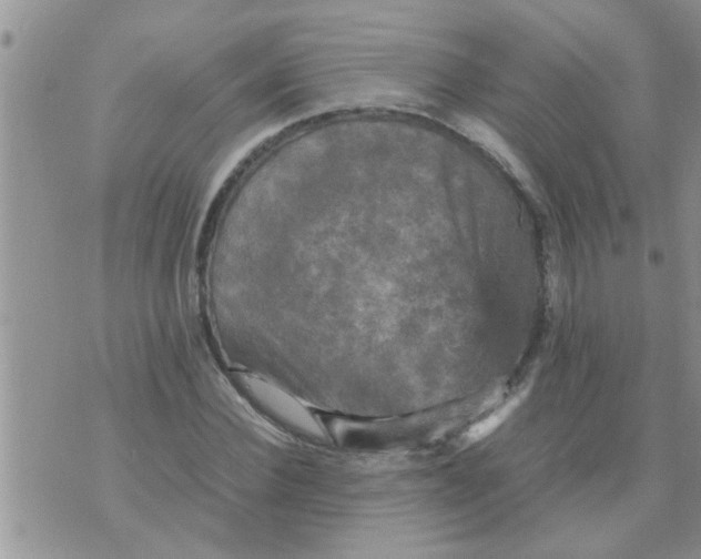 X0000070250924200606232004