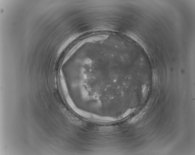 X0000070250925200606232004