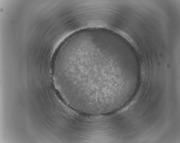 X0000070250926200606232004