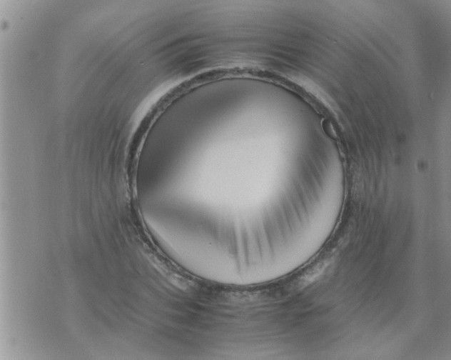 X0000070250927200606232004