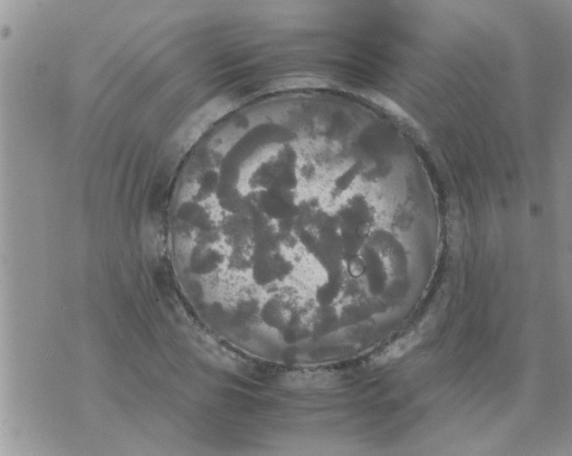 X0000070250929200606232004