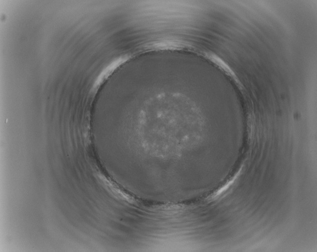 X0000070250930200606232004