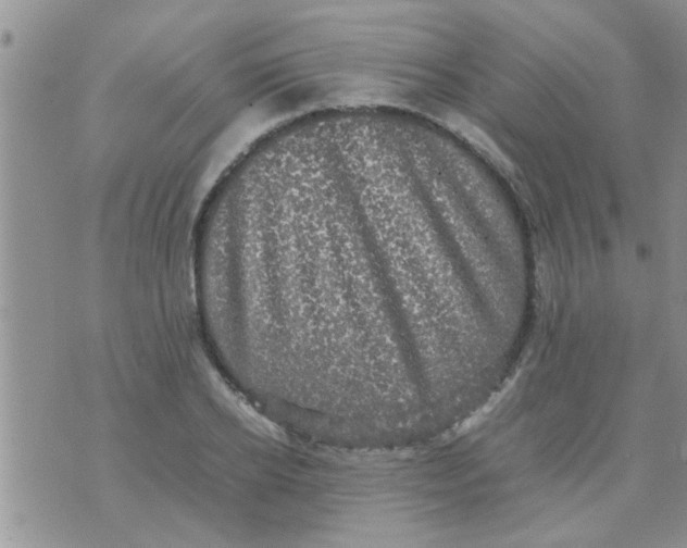 X0000070250934200606232004