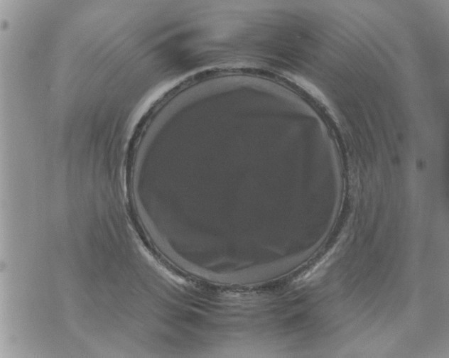 X0000070250935200606232004