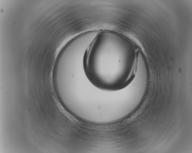 X0000070250936200606232004