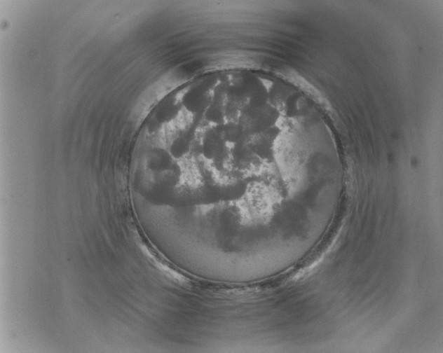 X0000070250937200606232004