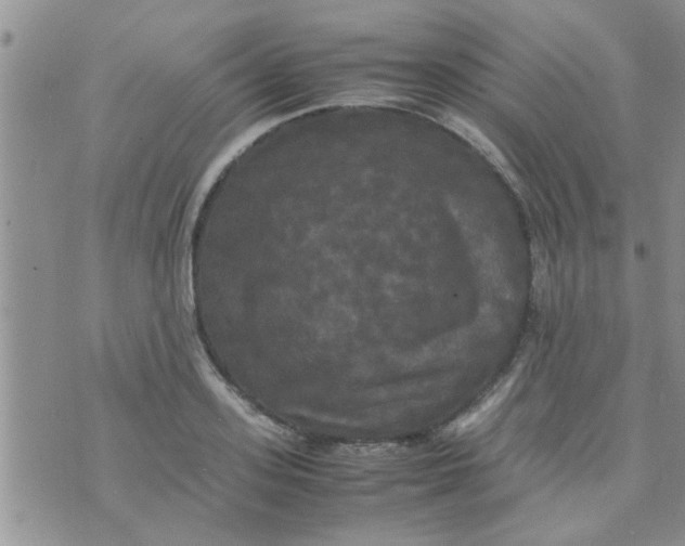 X0000070250939200606232004