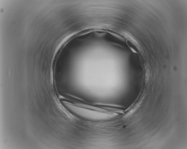 X0000070250940200606232004