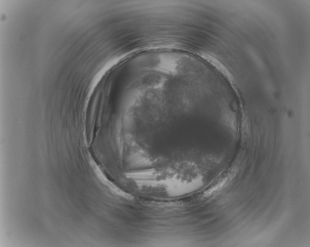 X0000070250941200606232004