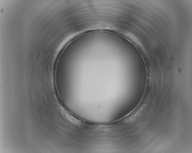 X0000070250942200606232004