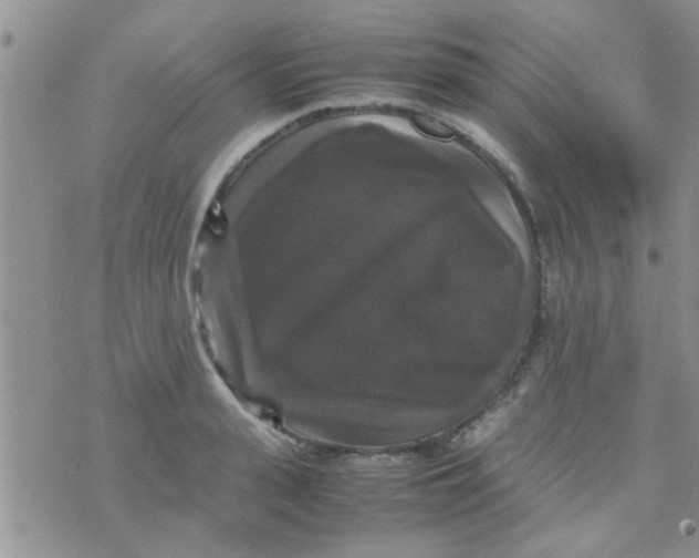 X0000070250943200606232004