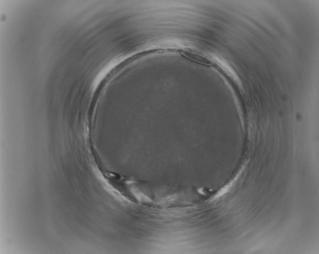 X0000070250944200606232004