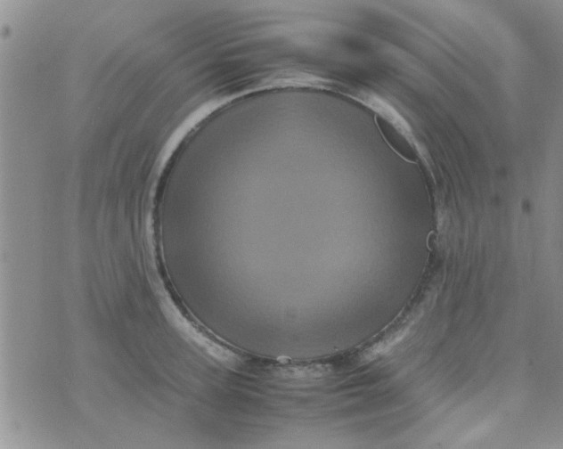 X0000070250947200606232004