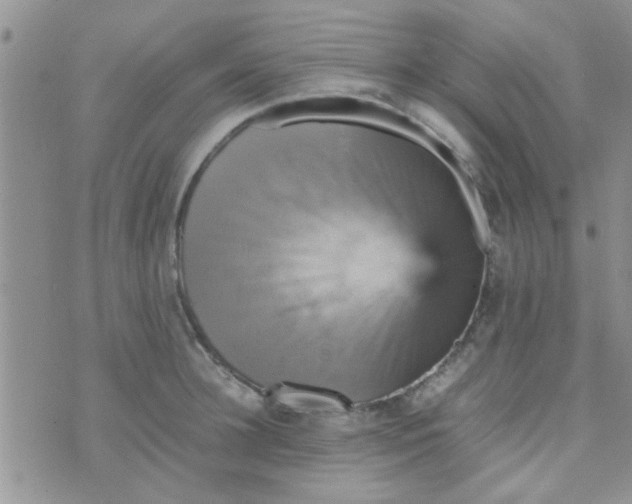 X0000070250948200606232004