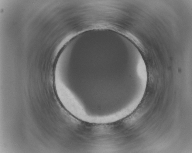 X0000070250950200606232004