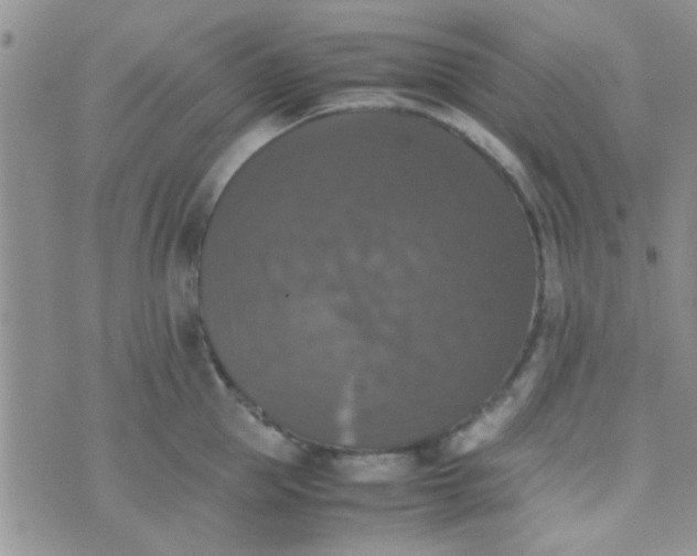 X0000070250953200606232004