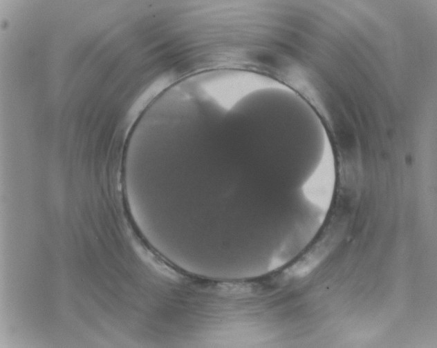 X0000070250954200606232004