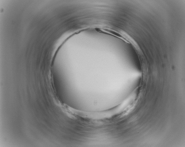 X0000070250956200606232004