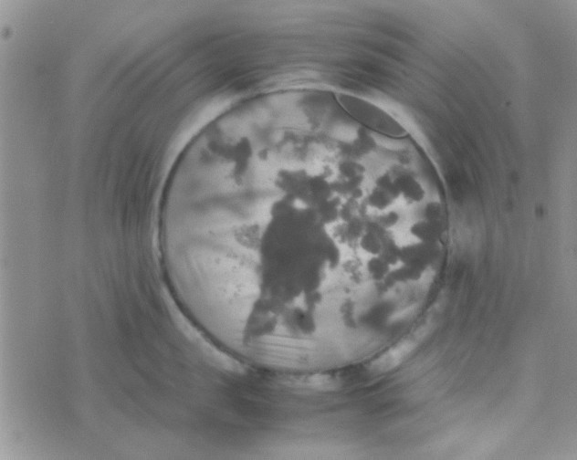 X0000070250957200606232004