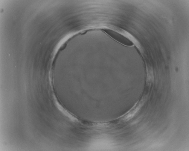 X0000070250958200606232004