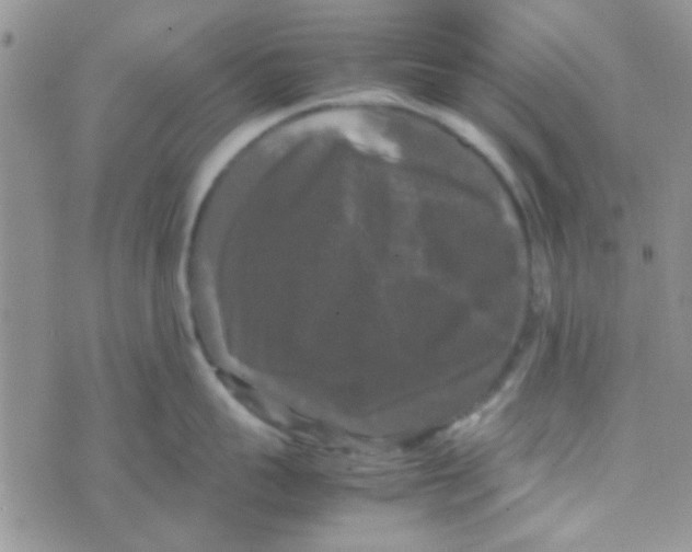 X0000070250959200606232004