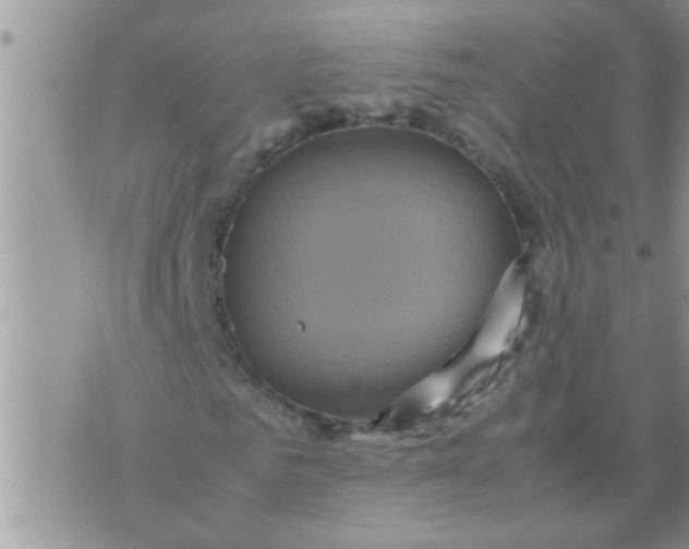 X0000070250961200606232004