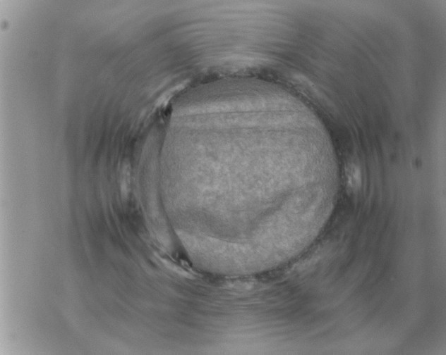 X0000070250964200606232004