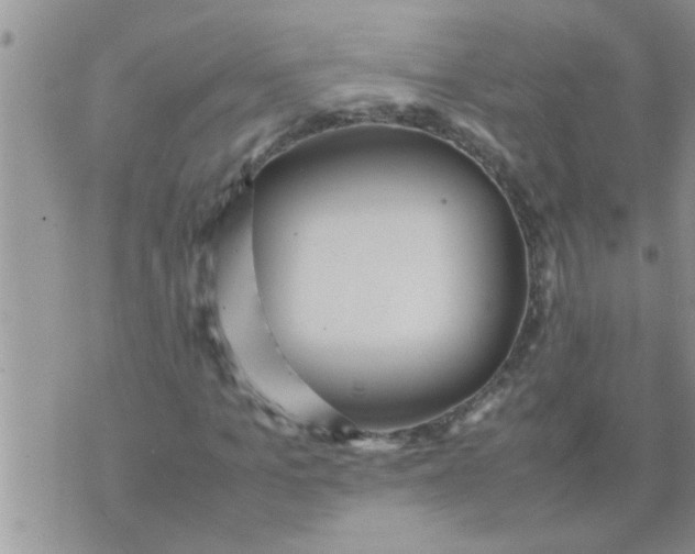 X0000070250965200606232004