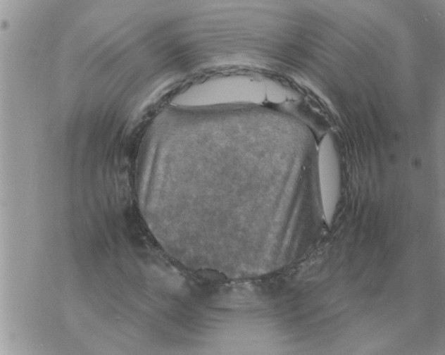 X0000070250968200606232004