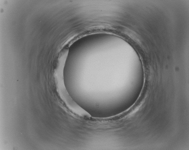 X0000070250969200606232004