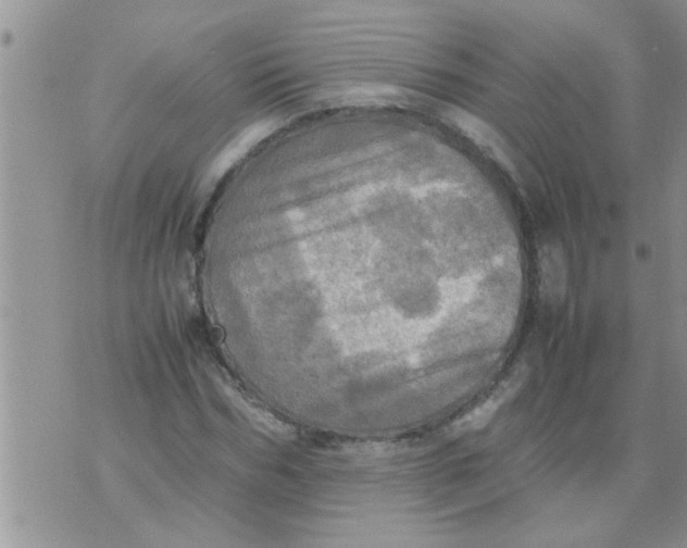 X0000070250970200606232004