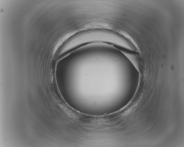 X0000070250973200606232003