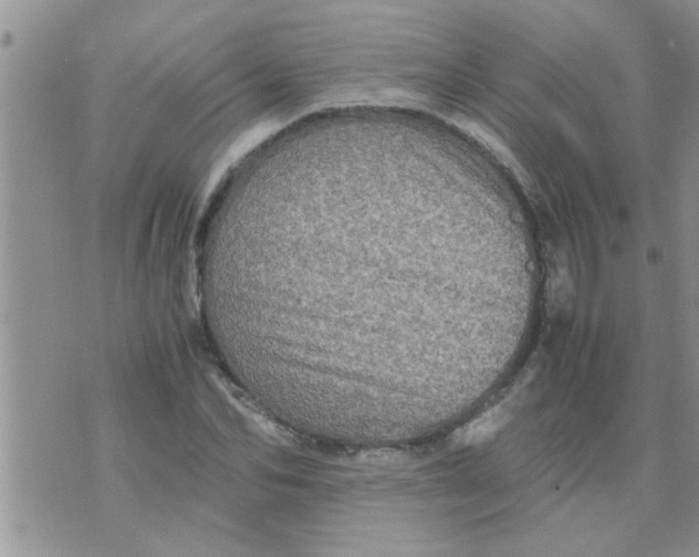 X0000070250974200606232003